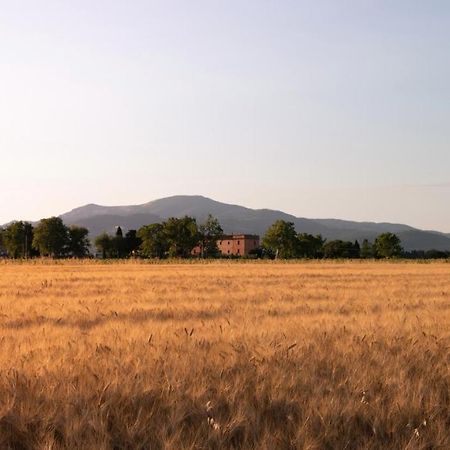 Agriturismo Il Pescinone Venturina Terme Bagian luar foto
