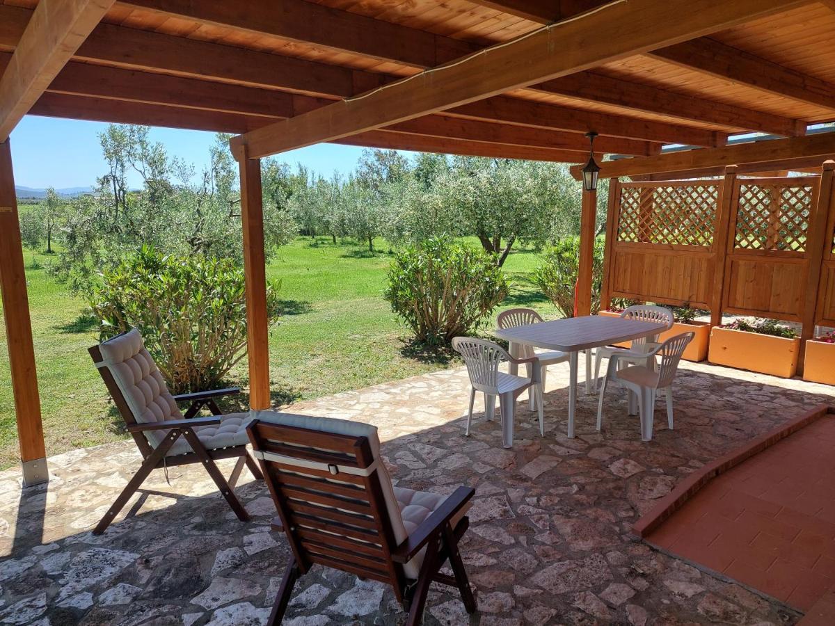 Agriturismo Il Pescinone Venturina Terme Bagian luar foto