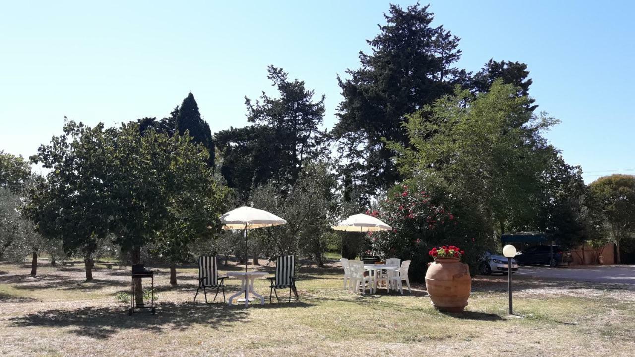 Agriturismo Il Pescinone Venturina Terme Bagian luar foto