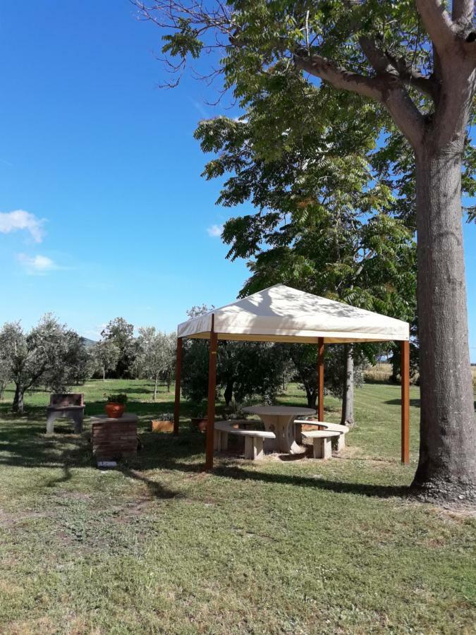 Agriturismo Il Pescinone Venturina Terme Bagian luar foto