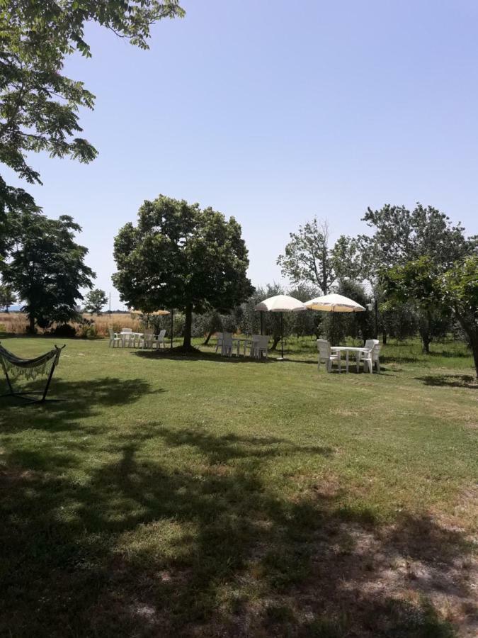 Agriturismo Il Pescinone Venturina Terme Bagian luar foto