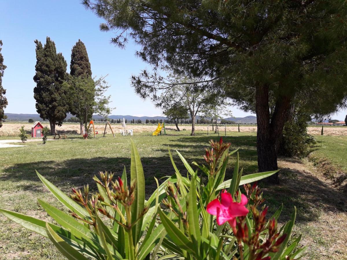 Agriturismo Il Pescinone Venturina Terme Bagian luar foto