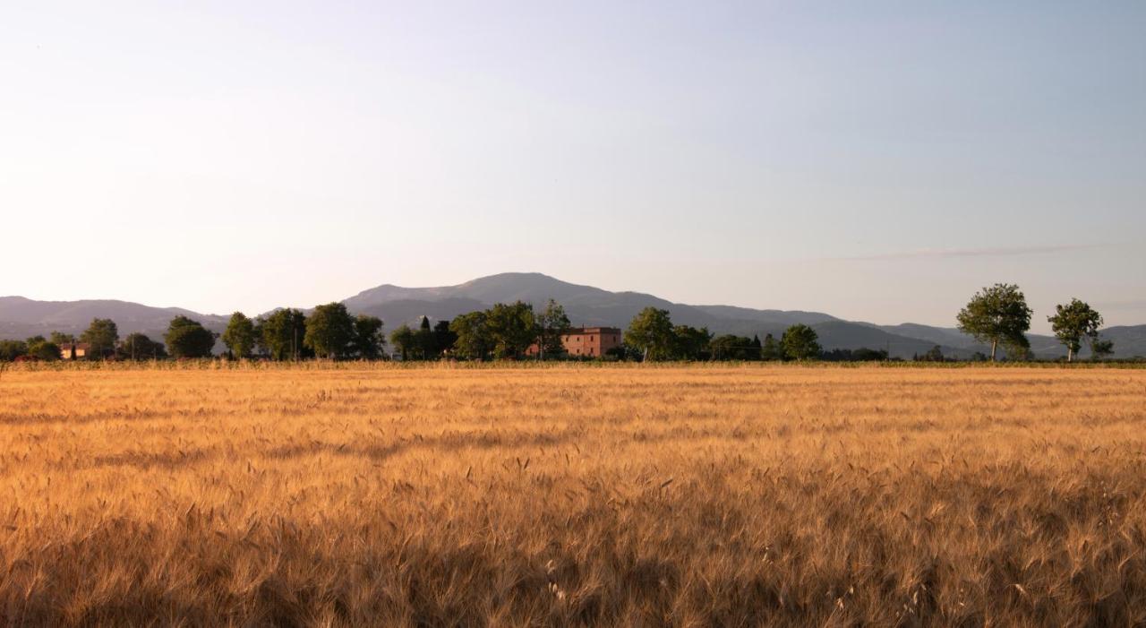 Agriturismo Il Pescinone Venturina Terme Bagian luar foto